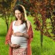 Video: All About Zika Virus shutterstock_93431647-300x300-22bca0460f2d51fb7b03ecfe710749c9f4804da0