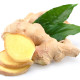 Ginger ginger-health-benefits-uses-a32534dd5fefaf165b48c633a64f590c64ea3642