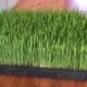 The Super-Nutritious Grass You Can Grow Indoors, Eat, And Transplant To Your Yard wheatgrass-youtube-d191633619da8e0497a695d0c096d92fadbea1cb