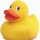 Stem Cells and Chiropractic rubber-duck-9c8622fdc6bd9a0d8cf3add72944fbe85bd421a7