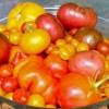 Antioxidants and Survival, Part 1 TomatoBowl-300x199-a9bca030a0fe0edaa357627965958141736858b6