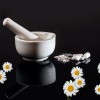 Grow Your Own Off-Grid, Heal-Anything Herbal Medicine Chest homeopathy-1063292_640-c1ccb740f6734e7deb37c8db0151747d1f9f52f7