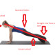 A New Look for a New Woman: Flatten your belly bulge in 5 simple steps plank-5506be9e00426af1a911a9797d6f95757bdc731d