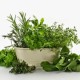 Ways to Heal Candida Naturally natural-candida-remedies-5ede536f642b91cb7e4c973e7abc024e14891ccd