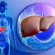 Liver lovers live longer liver-lovers-live-longer1-800x600-6a6a7682a74b64eae182945c58337e8a16bbe7c2