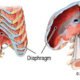 Breathing and Back Pain breathing-and-back-pain-1-c7952be45bb0bbd3f7572e8fb317435af7739f29