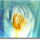 Healthy living with Bio Resonance Therapy biores-243af5e43a89fa1d28c0325da49c8317b5c6fc75