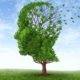 Top brain-saving nutrients stave off old timer’s diseases top-brain-saving-nutrients-stave-off-disease-800x600-bd7d3d73ddc0afce695052a9c20a981efb8d9591