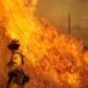 Video: Wildfire Safety Tips wildfire-e9f245e201f2fed60296d7db0de830ee764ce788