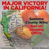 More California Residents Vote to Ban GMOs Untitled-design-36-03314611cb15df0a7fc053d7974560059eae0df7