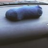 The simple sock trick that can stop your car windows from fogging up ever again The-simple-sock-trick-that-can-stop-your-car-windows-from-fogging-up-ever-again-980x558-0a563d5910952e58c2484cc852e757d8d3ff2f54