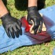 Survival Medicine Hour: Bleeding Control Kit, Herbal Teas, Zika update, more NEWJOE-NEWJOE-NEWJOE-NEWJOE-IMG_0249-300x200-81cee8bd6196d407bbec9e33f56f9fed7eab0b08