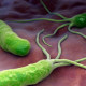 7 Ways to Tell Your Gut Bacteria Are Out of Whack & What You Can Do About It to Heal It Naturally 160617804-222f048e5216cda370bb3597903e15f70e4b22cc