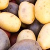 What Vegetables Are The The Best To Eat To Stay Healthy & Lose Weight thumb_2071_content_big_wide-a830fe8639083f21d2d045944fb8a7634d30c95d