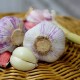 11 All-Natural Remedies You Should Stockpile For Flu Season garlic-1144921_640-1b0b58c0829622266933fc4db296ae75bf989d7d