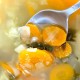 ‘Kitchen Cures’ For The Common Cold vegetable-soup-445160_640-1d03ef7facc58e4df56647e4ac6cc9c8d6b9b16c