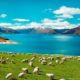 Leading New Zealand Importer Pacific Resources International Unveils Diverse Range of Pacific Sea Salts pacific+resources+1-379d5a121cb6dc5bd037f820e2f231efd4d3f9ed