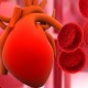 How Heart Supplements Can Improve Your Heart Condition/or Prevent A Heart Condition from Ever Occurring Your-Blood-Type-Can-Influence-Your-Hearth-Health_ft-770x402-5c46c55e78b2ec644c103cf4f61d15a5158ed0f2