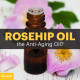 Rosehip Oil: the Anti-Aging Oil? RosehipArticleMeme-1-bd96e3ea807b90587cf01cf76cd5ea48f2536c1d