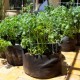 Antioxidants and Survival, Part 2 PotatoGrowBags-300x199-3c620984aff12d5750c2eba8643f1787172f3aed