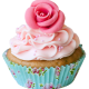 Healthy Recipe: Dairy-Free Cupcakes 500;562;64ff14c0b78ace18b734c3da23570f2577890510-8513a6e23b9d263ece43db72cc2195bce0505ff3