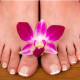 Natural Remedies Used to Get Rid of Yellow Toenails Naturally 501;332;e56a3b076929afc23c4d99fc864312e13f89bfc7-03111b61ab86661ad3f5a1dd0a201e388cfe303e