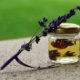 The Power of Herbal Medicine for Cancer 500;332;30b6c147a05808e67019b41ebe9f9a9b34694b8d-209d5cb27db0ebd05840fbf942ed7b5ad70326fa