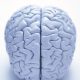 Neurocounseling: Bridging the Gap between Brain and Behavior 500;735;b5b915c6e68019662b22fc13886ffca8b6b4ff09-dd4cf9c8dd97a6cbbeeb525af61ad2492628a48d