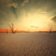 American Survival Radio, June 25 shutterstock_119509171-298x300-e936d775088582b2a0b16c055d3a58d00c9c99c0