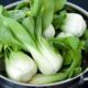 Osteoporosis prevention for vegans: Non-dairy calcium sources 500;335;f4af384e7ed2bcc673b561678a131a0b406c6013-a7870b8e0343a38b9e0b6fb74a0ef351eab4f80b