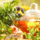 Top Five Herbal Teas to Easily Prepare 0;2;2800;2800;500;500;0b074fd16320d3051674309c133ddc518cfed4fe-a29c74f2cfa16cc94aea58cae1ecff8ae866ea11