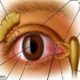 How To Improve Eye Sight Naturally? Improve-Your-Eye-Sight-In-Natural-Ways-361b894aa5626f71d81fcd80ddc74f69c9acdea6