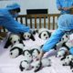 Good News – Giant Pandas Are No Longer Endangered image-rtx13wbc-e147318461466-710-9feba696ea76e17ab694adac51eafaa52b87896e