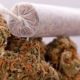 Marijuana Use is Rising, and More People Consider it Harmless marijuana-weed-joint-735-350-9d8050d3eea2fa4ff9df71180453570caddac7e9