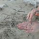 U.K. Pledges to Phase out Microbeads in Cosmetics by the End of 2017 microbeadsbeach-e1472987372368-9d8b7d1fa1e2d4be27b165ce1a4bc8b095910678